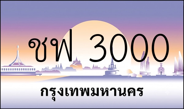 ชฟ 3000